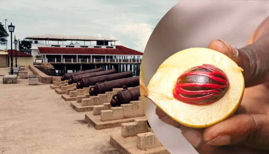 Spice tour & stone town city tour