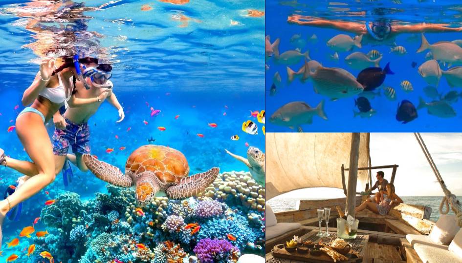 Local dhow trip & snorkeling