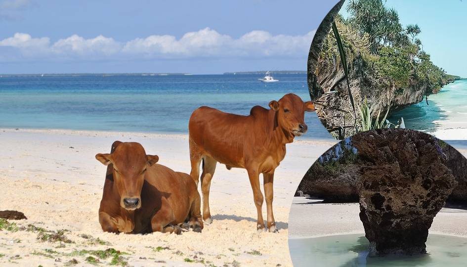 Village tour, mtende secret beach