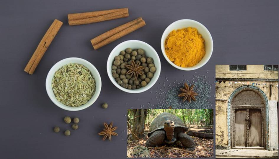 Spice tour , city tour & prison island